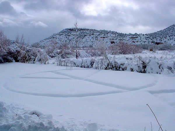 peace pic of the day 1-22-10
